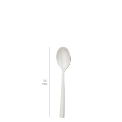 Pulverizador  Doméstico 1 Litro